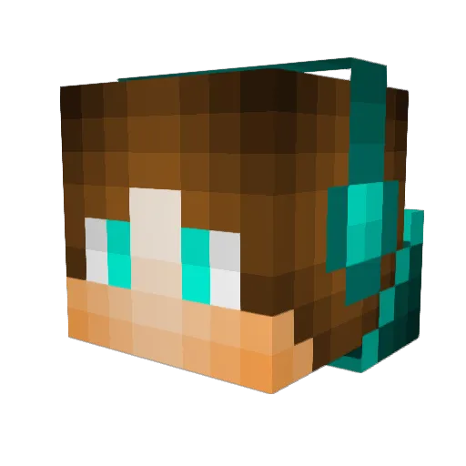 DnpBe Minecraft avatar head, 3D render