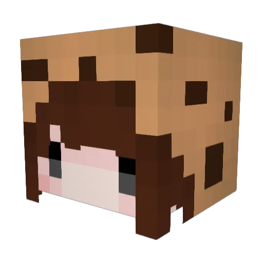 Dns_LAP Minecraft avatar head, 3D render