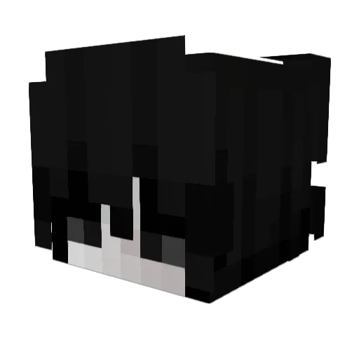 Dnssk Minecraft avatar head, 3D render