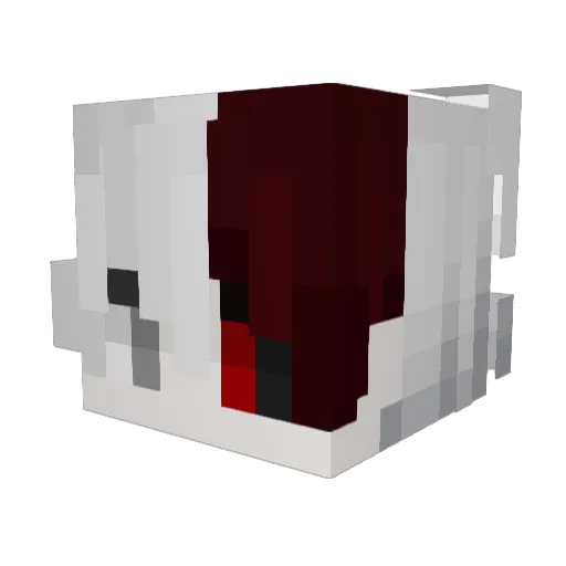 Dnww2 Minecraft avatar head, 3D render