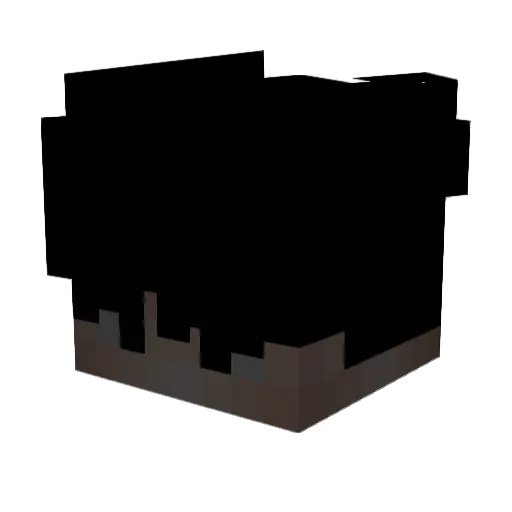 DnyaX Minecraft avatar head, 3D render