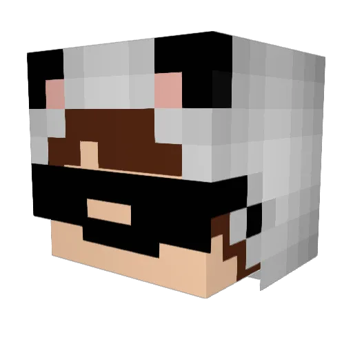 Do0f Minecraft avatar head, 3D render