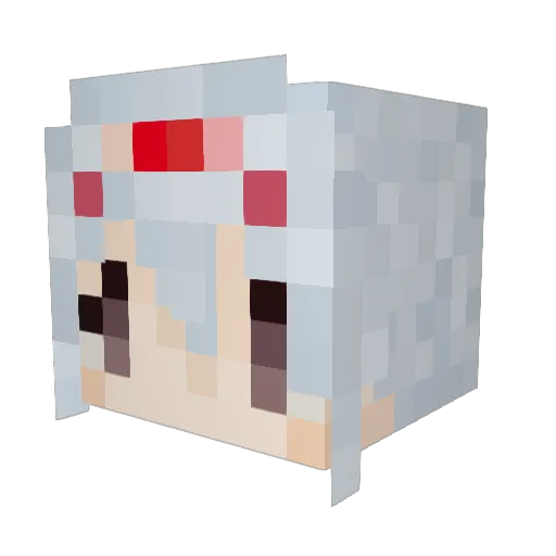 Do54an Minecraft avatar head, 3D render