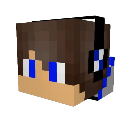 DoDgETiLT95 Minecraft avatar head, 3D render
