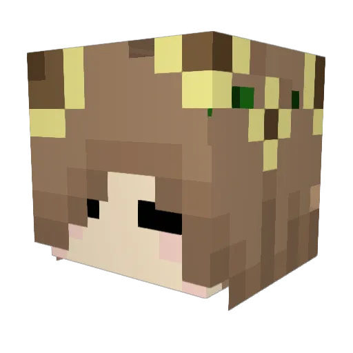DoDo_lights Minecraft avatar head, 3D render