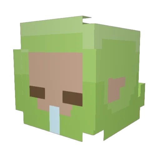 DoFu_ Minecraft avatar head, 3D render