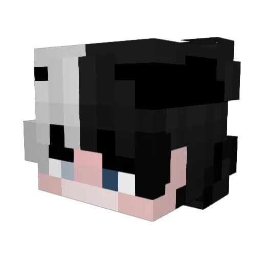 DoNemoska Minecraft avatar head, 3D render