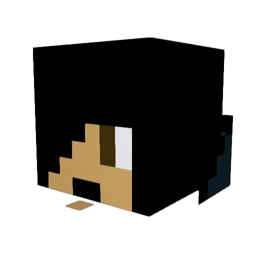 DoNibOy8941 Minecraft avatar head, 3D render