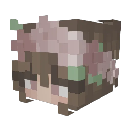 DoNotEatChicken_ Minecraft avatar head, 3D render