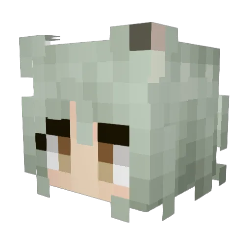 DoNotSleep3 Minecraft avatar head, 3D render