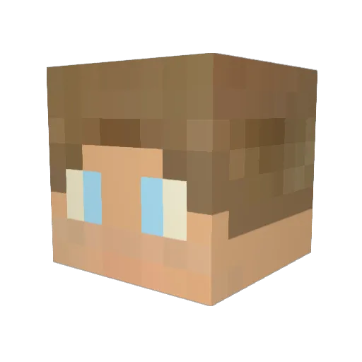 DoNotStopGaming Minecraft avatar head, 3D render