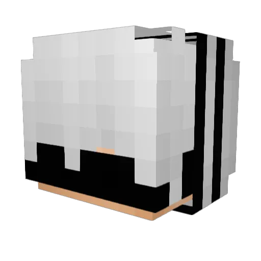 DoNotTarget Minecraft avatar head, 3D render