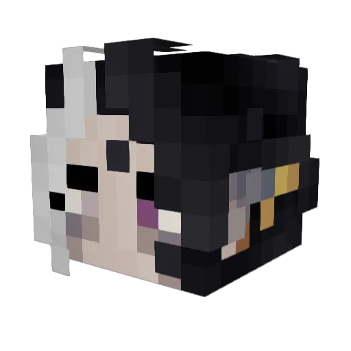 DoNotThe_Blank_ Minecraft avatar head, 3D render