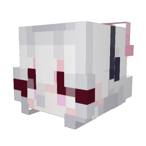 DoNtAsKk_ Minecraft avatar head, 3D render