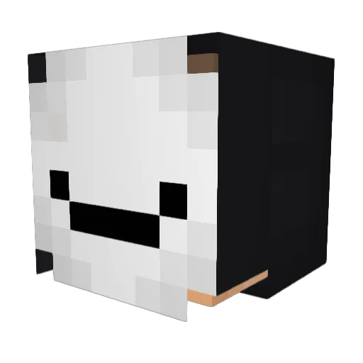 DoPyDerEchte Minecraft avatar head, 3D render