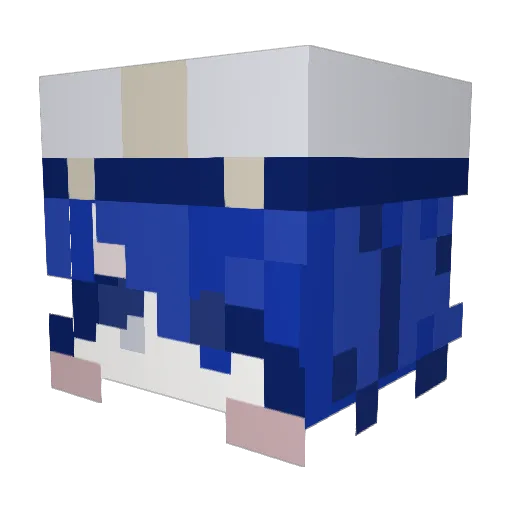 DoRyun1232 Minecraft avatar head, 3D render