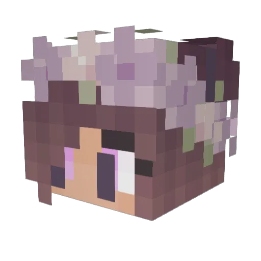 DoYeong2 Minecraft avatar head, 3D render