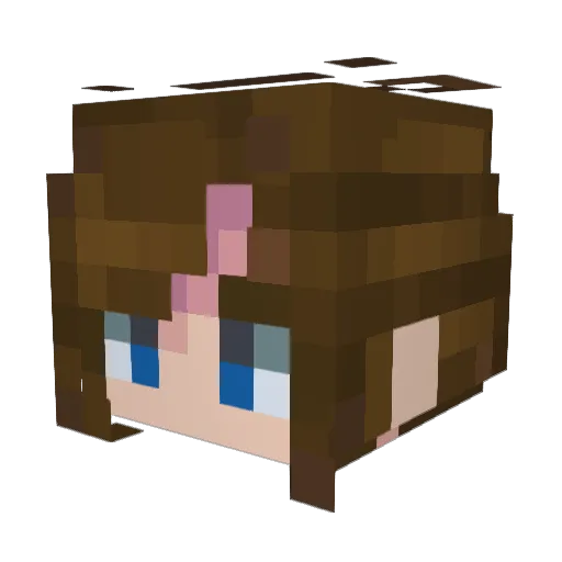 Do_Doctor Minecraft avatar head, 3D render