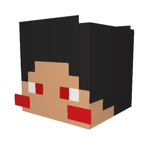 Do_Wonn Minecraft avatar head, 3D render