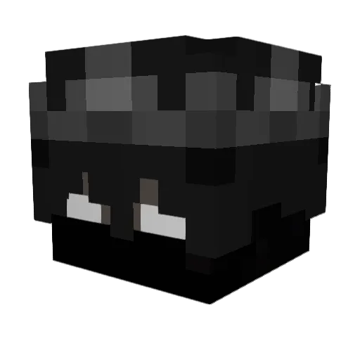 Do_not_fk Minecraft avatar head, 3D render