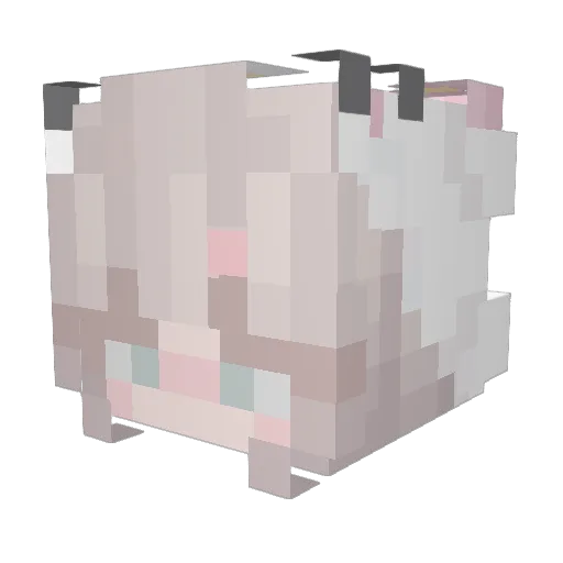 Doa Minecraft avatar head, 3D render
