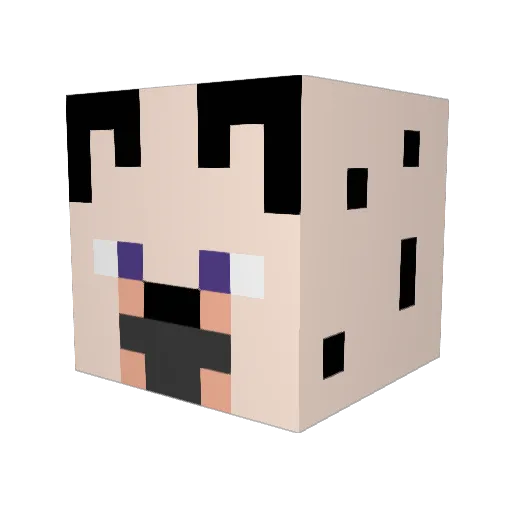 Doablewinner17 Minecraft avatar head, 3D render