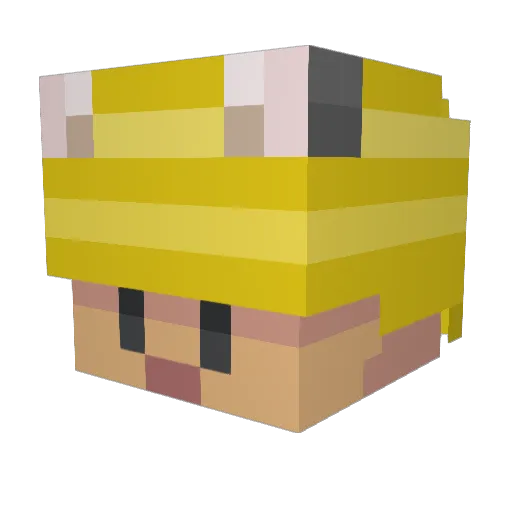 Doanutt Minecraft avatar head, 3D render