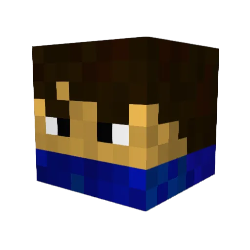 Dobby101010 Minecraft avatar head, 3D render