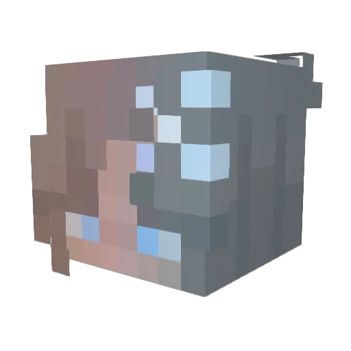 Dobby2399 Minecraft avatar head, 3D render