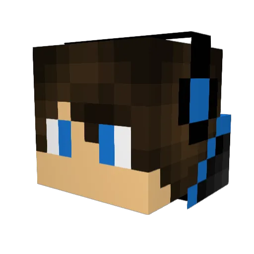 DobbyCat02 Minecraft avatar head, 3D render