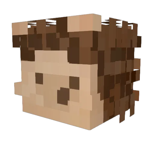 Dobby_min2 Minecraft avatar head, 3D render