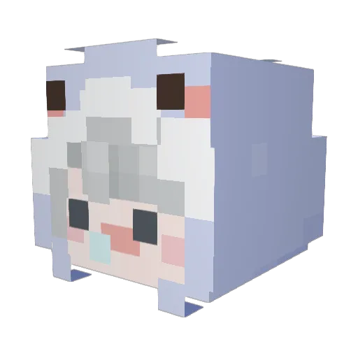 Dobbyking96 Minecraft avatar head, 3D render