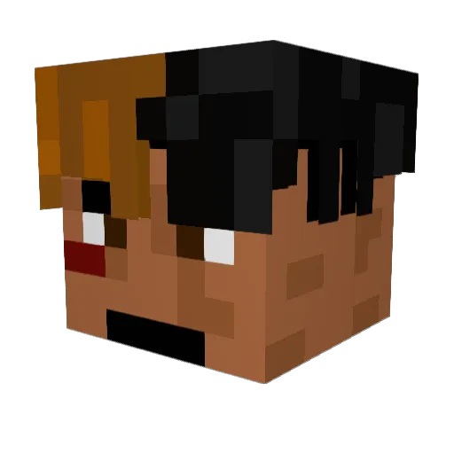 Dobbysir Minecraft avatar head, 3D render
