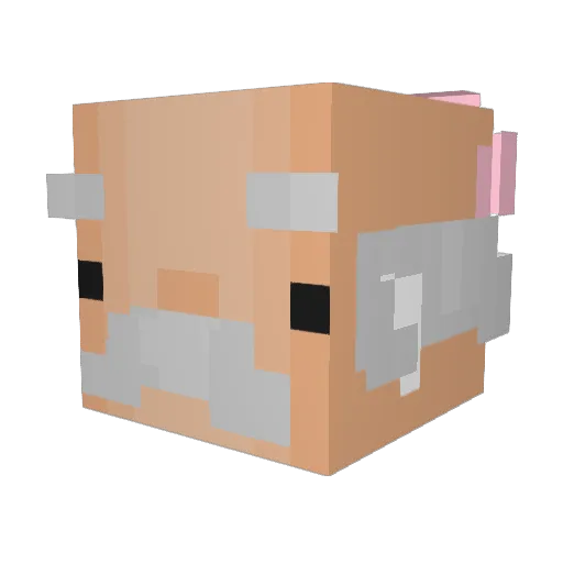 Dobee11 Minecraft avatar head, 3D render