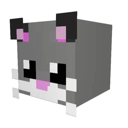 Dobes_ Minecraft avatar head, 3D render