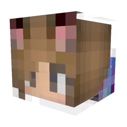 DobieMom Minecraft avatar head, 3D render