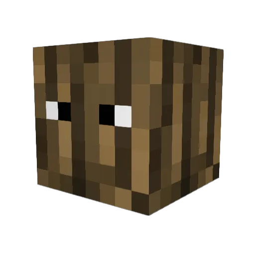 Dobitoss Minecraft avatar head, 3D render