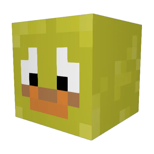 DocBonesMcCoy Minecraft avatar head, 3D render