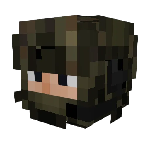 DocBravestone Minecraft avatar head, 3D render