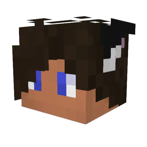 DocFelis Minecraft avatar head, 3D render