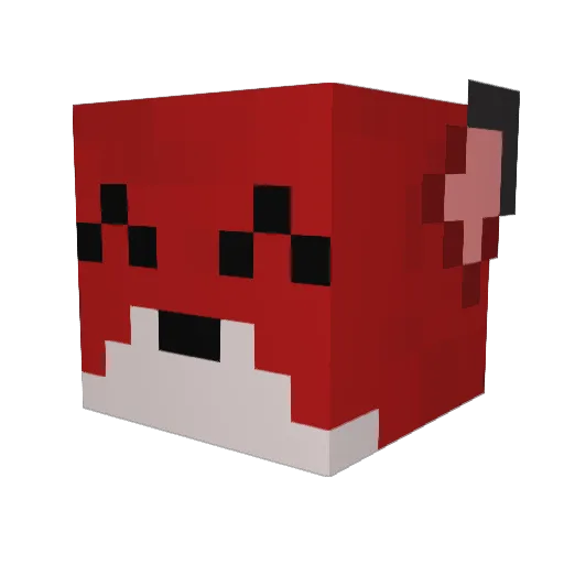 DocJanitor Minecraft avatar head, 3D render