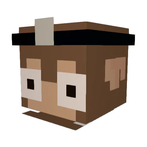 DocMonke Minecraft avatar head, 3D render