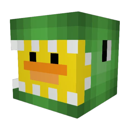 DocThor010 Minecraft avatar head, 3D render