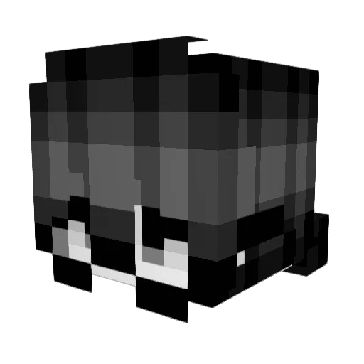 DocThyme Minecraft avatar head, 3D render