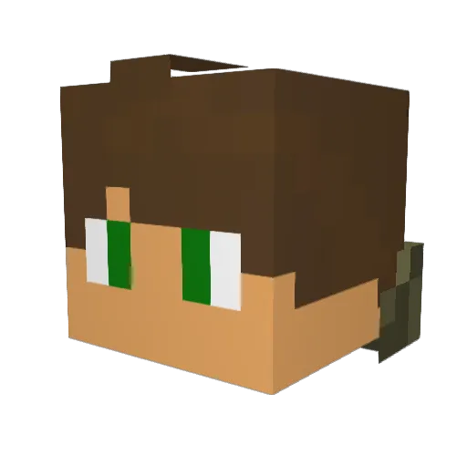 DocWill96 Minecraft avatar head, 3D render