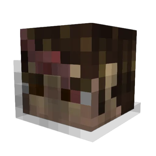 Doc_Feel_Good Minecraft avatar head, 3D render