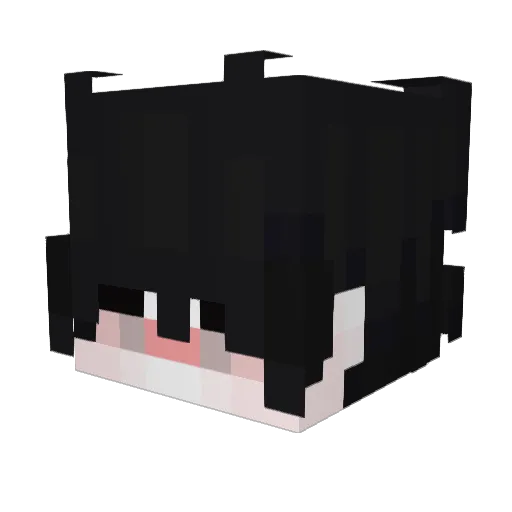 Doc_Superior Minecraft avatar head, 3D render