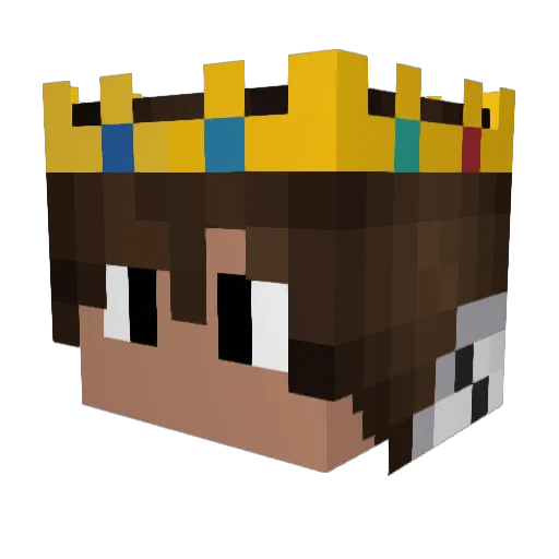 Docd2015 Minecraft avatar head, 3D render