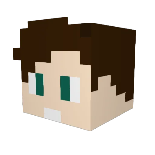 Docdirector Minecraft avatar head, 3D render