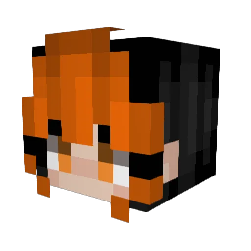 DocileVen Minecraft avatar head, 3D render